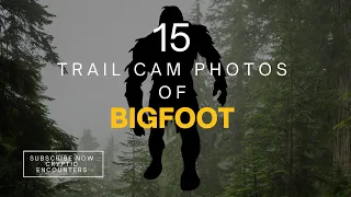 Trail Cam Photos Of BIGFOOT!!