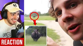 Reacting to "STRANDED WITH HER IN SOUTH AFRICA!!" by David Dobrik | Henis Highlights