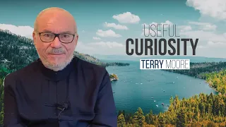 Useful Curiosity- Terry Moore