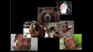 These Grizzly Bear Victims Fought Back