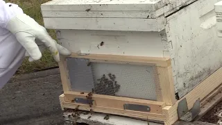 Using a Robbing Screen to protect your Bee Hive - Stanwood Bee Company, LLC