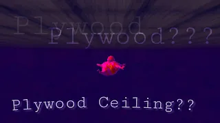 Plywood Ceiling? - Juice Galaxy