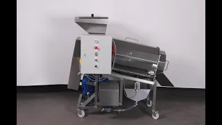 Pulping Destoning Machine | For Fruits, Berries & Vegetables | Puree Production - ProFruit
