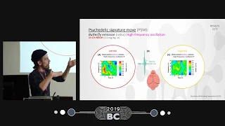 Tobias Buchborn - Using optogenetics to shine a light on the mammalian “psychedelic signature move”