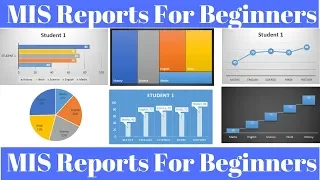 MIS Report in Excel for Beginners
