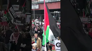 Israel-Palestine war: Hundreds of thousands protest in London to demand Gaza ceasefire