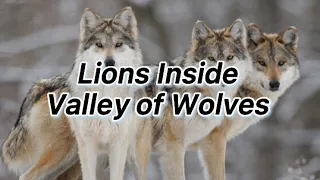 Lions Inside - Valley of Wolves slowed version