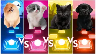 Cute Dogs 🆚 Cute Cats Waka Waka 🆚 Bloody Mary 🆚 Justin Bieber 💥Dance Tiles Hop💥