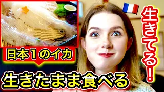 日本で一番美味しいイカを生きたまま食べてみたら...想像を遥かに超えた