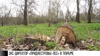 Экс-директор «Приднестровье-леса» 3,5 года проведет в тюрьме