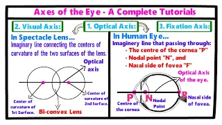 Axes of the Eye - A Complete Tutorial.