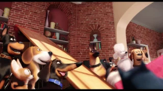 The Secret Life of Pets - Trailer - Own It Now on Blu-ray, DVD & Digital HD