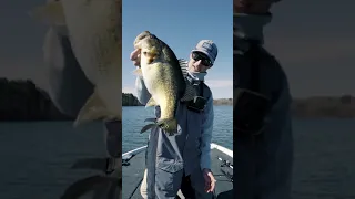 HOW TO FISH JERKBAITS!!