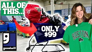 I bought 59 items for under $100! Thrift with me at the Goodwill Outlet in Boston! HUGE Bins HAUL!