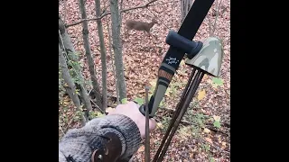 Longbow Doe in Upstate New York