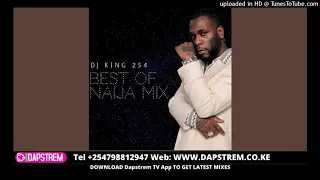 BEST OF NAIJA MIX 2021 - DJ KING 254 | BEST OF AFROBEAT MIX 2021 | [Davido,Wizkid,Burna Boy,Omah Lay