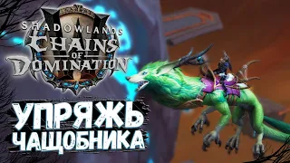 Упряжь летнего чащобника [МАУНТ] Седло чащобника - WoW Shadowlands 9.1