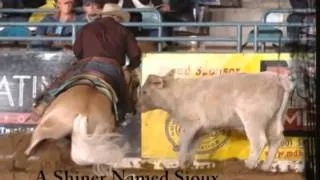 Carol Rose Ranch Video   A Shiner Named Sioux