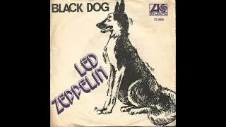 Led Zeppelin - Black Dog - Live - 10 Reactors Reactions (Madison Square Garden 1973)