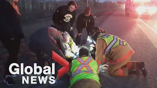 Edmonton Huskies football team come to the aid of motorcyclist who struck a deer in Saskatchewan