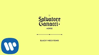 Salvatore Ganacci  - Horse (Black V Neck Remix) [Official Audio]