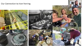Lunch and Learn: Celebrating the Life and History of Alewives and River Herring