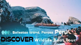 Worth Day Trip to Ballestas Islands from Lima Peru - The Peruvian Galápagos Islands