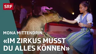 Leben im Zirkus – Zusammenhalt zwischen harter Arbeit und Überlebenskampf | Mona mittendrin 23 | SRF