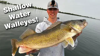 Fishing For GIANT Walleyes in Shallow Water! (Minnesota)