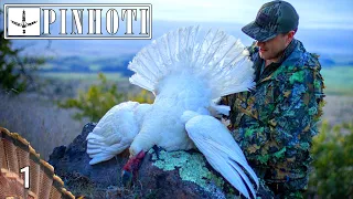 GOBBLER of a LIFETIME | FINISHING a SUPER SLAM in HAWAII | PUBLIC LAND HUNTING -Pinhoti 2021