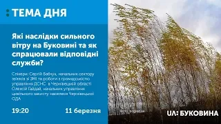 ТЕМА ДНЯ. Буковина. Які наслідки сильного вітру на Буковині та як спрацювали відповідні служби?