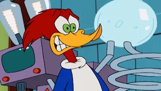 Woody's experiment goes wrong | Woody Woodpecker