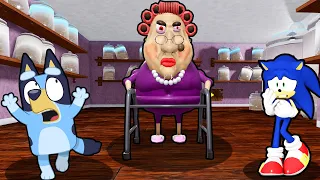 BLUEY AND SONIC ESCAPE EVIL GRANDMA IN ROBLOX