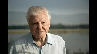 Sir David Attenborough addresses UN climate change summit – watch live