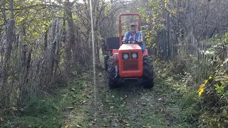 Lander cu LDA 820 - La carar de prune.