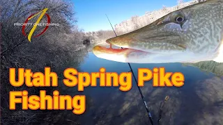 Utah Spring Pike Fishing (we found the nursery!!!)