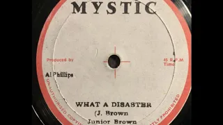 Junior Brown - What A Disaster / Version