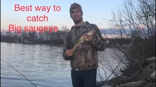The Best Way to Catch Saugeye! |2021|