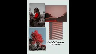 Carla's Dreams - Imperfect (slowed)