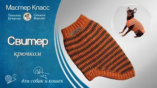 Как связать простой свитер крючком для собак и кошек, все части