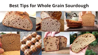 My Best Tips for Whole Grain / Whole Wheat Sourdough Bread Making