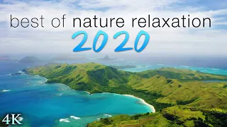 BEST OF NATURE RELAXATION™ 2020 MIX - 10 Hour 4K UHD Ambient Film + Music by Relax Moods (No Loops)