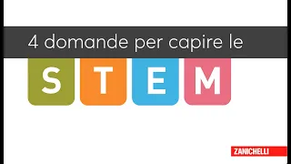 Come lavorare con le STEM