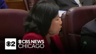 Chicago City Council members debate $70 million ask for migrant funding