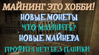 МАЙНИНГ, КАК ОН ЕСТЬ!!! НОВЫЕ МОНЕТЫ , НОВЫЕ МАЙНЕРА ВЕЧЕРНИЙ РАЗГОВОР О МАЙНИНГЕ!!! БЕЗ ПАНИКИ!!!