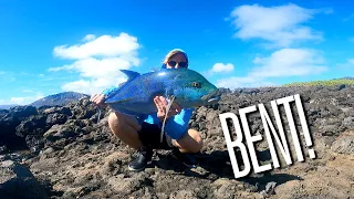 LIVE Kupipi's Got GULPED! - Fishing In Hawaii - Catch & Release! (BIGGEST YET)