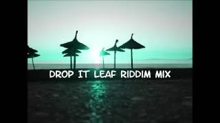 Drop leaf Riddim Mix 2013+tracks in the description