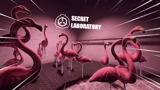 The Christmas Update is Hilarious! - SCP Secret Laboratory