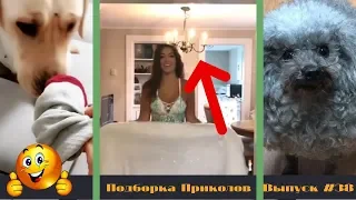 Лучшие приколы 2019 Январь | Тест на психику | ПО ПРИКОЛУ#38😂 | Свежая подборка