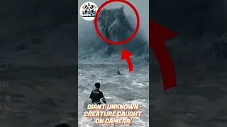 Giant UNKNOWN SEA CREATURE Caught on Camera! #amazing #movie